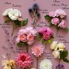 like_flowers_rain