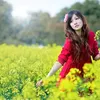 loandao551286