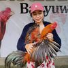 banyuwangi_fighter
