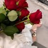 malak.ali6624
