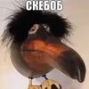skebob73