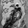 sunlightdove_erurishiper