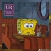 spongeymusic
