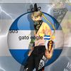505gato_eagle