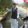 adnanmehsud21