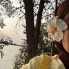 mimo_3340
