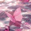 reem.fouad85
