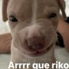 tr1x13_.j1nx