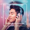 Layeredsounds101