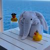 travelguru06