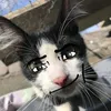 ronpopepe
