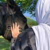 .waad_44
