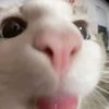janisagooner3