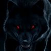 wolf_.....1