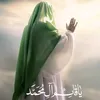 user82519132022615