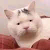 user739198072