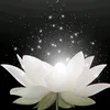 user59984480611944
