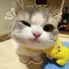 munkhongbtnhay