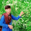 altaf.wafa1