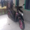 biawak_terbang132