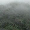 haseebfawaz