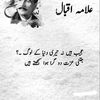 azmat.ullah6116
