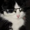 mjj_376
