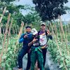 pemuda_tani69