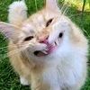 sucky__magar32