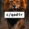 cqadir.farah