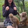 Amazing world clip
