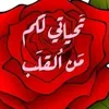 user2566605999471