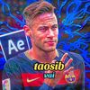 itstaosib4
