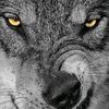 user46194718271606
