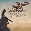 m.zalmai.naiimian