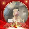 hi.chi579