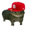 gaspar.png