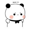 ppnnll7