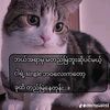 user652731400