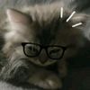 safira_jembut3