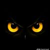 amine.laz56