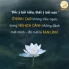 songlinh_04
