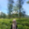 shafa_galfay