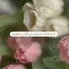 s_4ida9