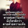 lovebuddhadeenae