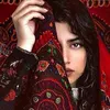 nilu3488