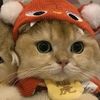 ksprazali111gmail.com