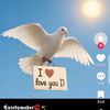 hassan.hussain2092