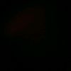 snow_flake446