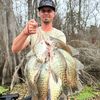 swampcurry